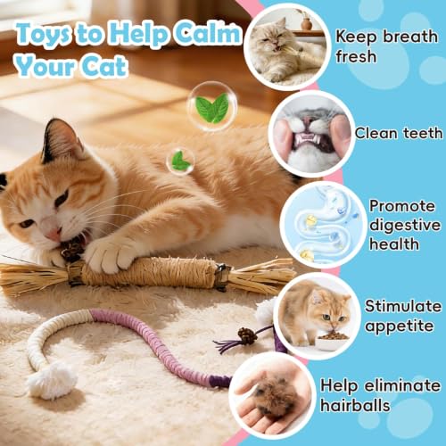 7-in-1 Kitten Toys for Indoor Cats with Washable Adhesive Suction Cup, Hanging Interactive Cat Toys, Silvervine Stick and Sisal Chew Rope Catnip Teething Toy for Bored Kitten (Pink) (Pink)