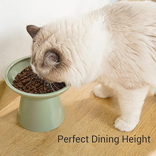 Extra Wide Elevated Ceramic 6.2" Shallow Cat Food Bowl (Sage Green-Shallow)