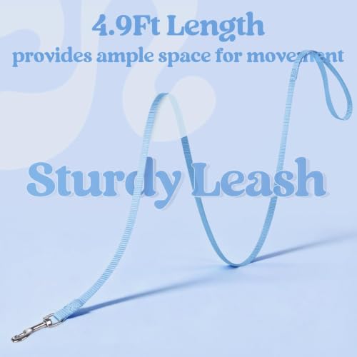 Cat Harness and Leash Set (M / Black & Light Blue)