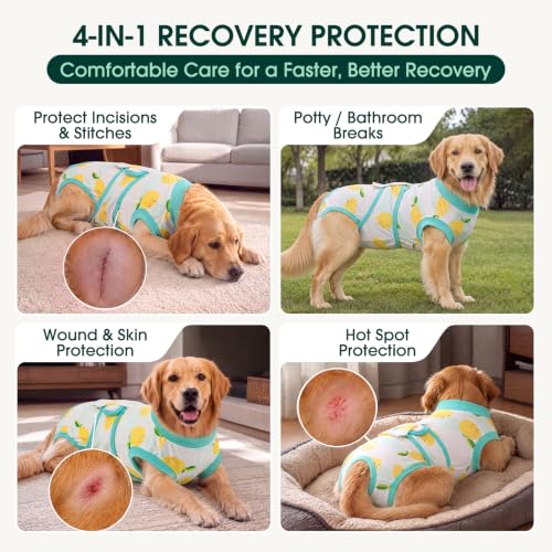 Recovery Suit for Dogs Cats (X-small (Back:8.3-11.4'', Weight:4-7 Lb) / Lemon Zest)