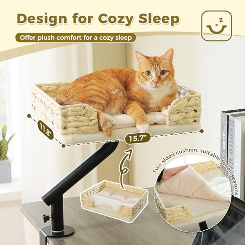 Cat Desk Bed for Indoor Cats (Beige)