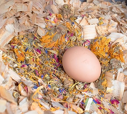 Best Eggs Ever! Nesting Herbs for Chickens (1 Ounce (Pack of 1))