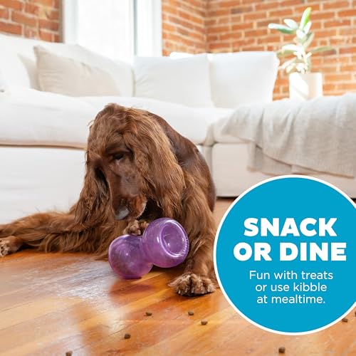 Double Snoop Interactive Treat Dispensing Dog Toy (Large)