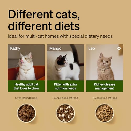 RFID Automatic Cat Feeders for 3 Cats (Black / 3L*3 Packs)