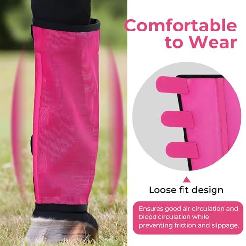 Mesh Horse Fly Boots Set of 4 (Pink)