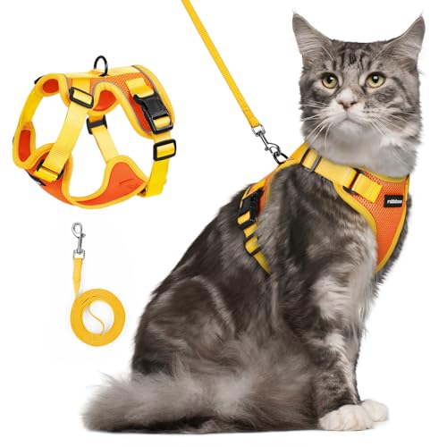Cat Harness and Leash Set