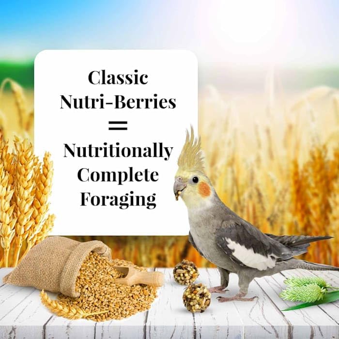 Classic Nutri (4 Pound (Pack of 1))