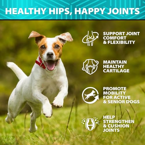 Glucosamine for Dogs (7.9 OZ)