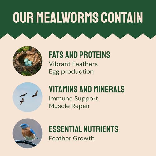 2lb Dried Mealworms for Wild Birds & Chickens (2 Pound (Pack of 1))