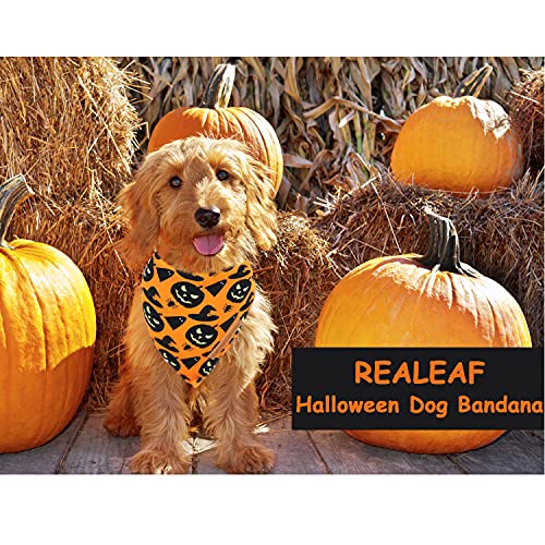 Halloween Dog Bandanas 2 Pack (Halloween / Small)