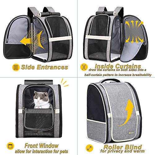 Innovative Traveler Bubble Backpack Pet Carriers for Cats and Dogs (Upgraded-Black)