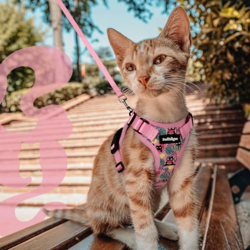 Cat Harness and Leash Set (M / Melon Munch)