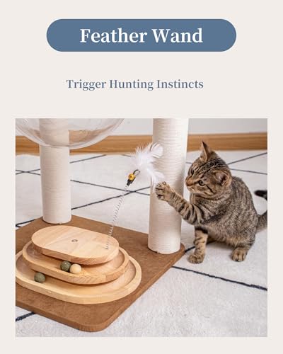 31.8" Cat Tree Tower (S81D)