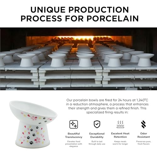 Necoichi Porcelain (Sakura / Regular Tilted)