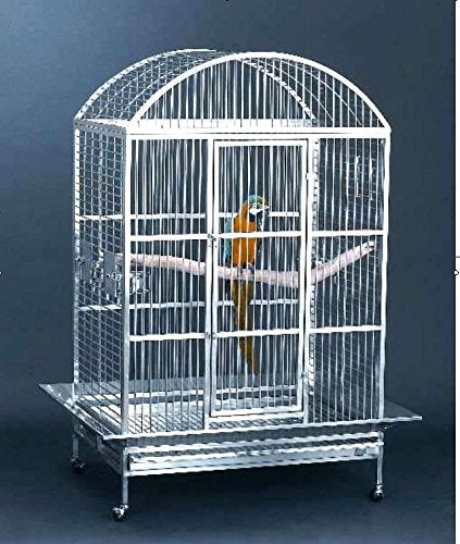 Large 304 Stainless Steel Bird Parrot Amazon Cockatoo African Grey Mini Macaw Cage Wire Dome Top