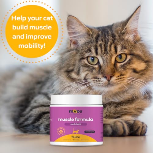 Cat Nutritional Supplement