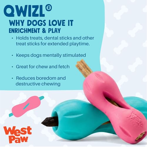 Qwizl Durable Zogoflex Dog Puzzle Toy for Mental Stimulation (Small / Geranium)