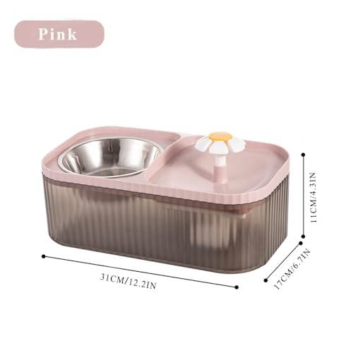 Cat Water Fountain and Stainless Steel Food Bowl