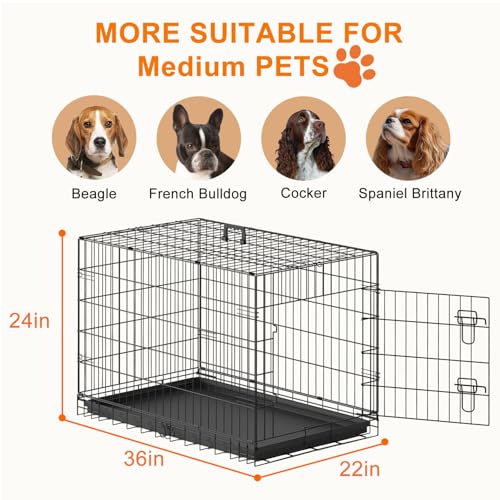 36" Foldable Metal Dog Crate (Black)