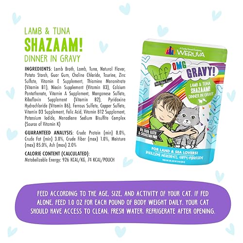 B.F.F. OMG Best Feline Friend Oh My Gravy! (2.8 Ounce (Pack of 12))