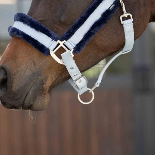 Valkyrie Ultra Fleece Padded Leather Fuse Breakaway Horse Halter (Sweet Blue/Navy / Horse)