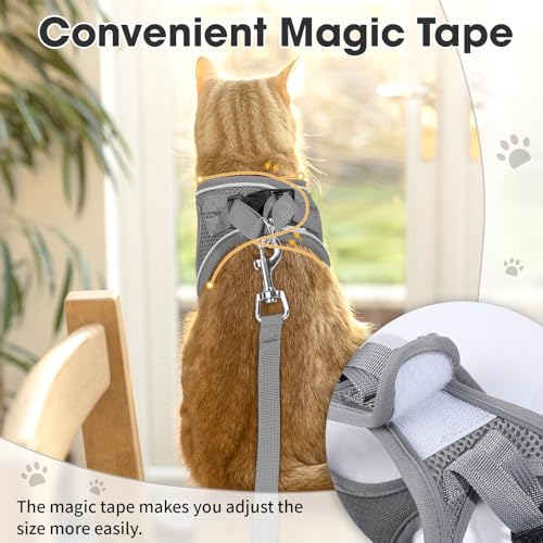 Cat Vest Harness and Leash Set (Grey / XS)
