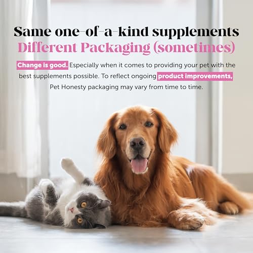 Vet Recommended Salmon Oil for Dogs and Cats (16oz)