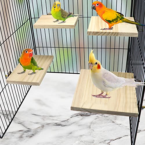 2pcs Bird Perch Platform Flat Stand Beak Paw Grinding for Parrot