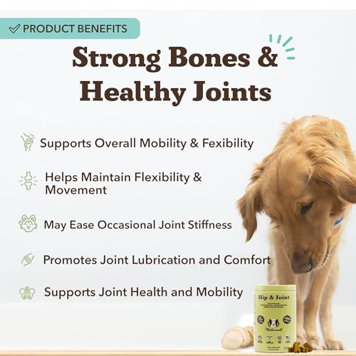 Hip & Joint Chews for Dogs (180 Count / Hip and Joint)