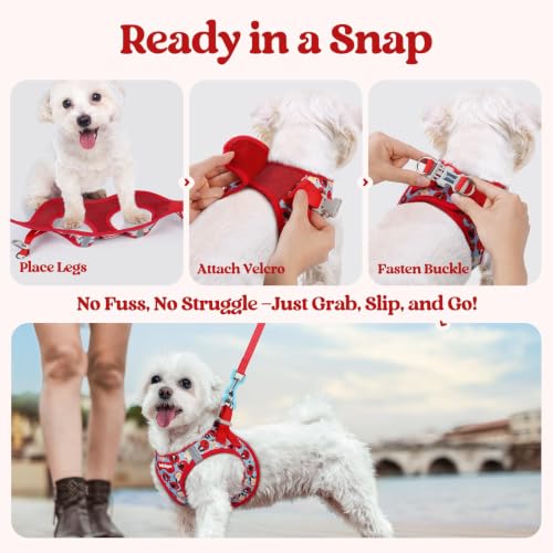 Dog Harness Small Sized and Leash Set (Apple Pups / Xs (chest: 13.3 - 15.5"))