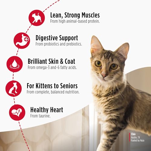 Freestyle Cat & Kitten Dry Food (4 Pound (Pack of 1))