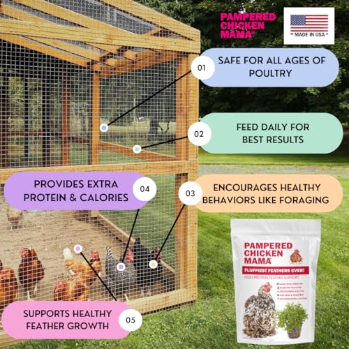 Backyard Chicken Molting Supplement (6 Pound (Pack of 1))