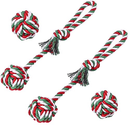 Dog Chew Toys