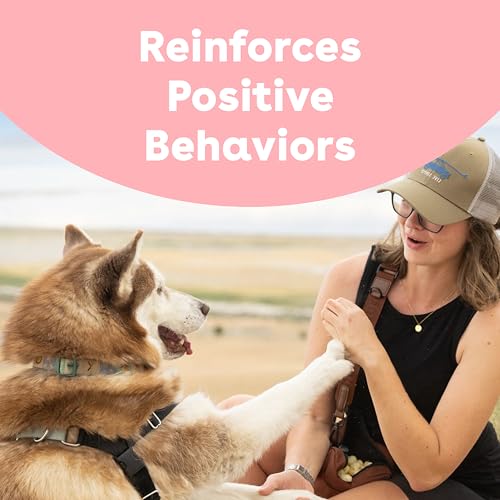 Freeze Dried Training Treats for Dogs & Puppies (2 Ounce (Pack of 1))