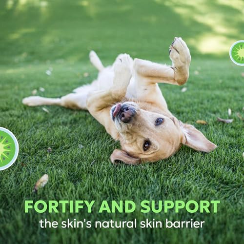 Nutramax Dermaquin Dog Supplement (60ct – 31 lbs & up Pack of 1)