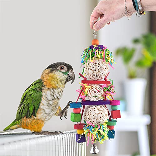 Foraging Shredder Bird Toy (1 PCS)