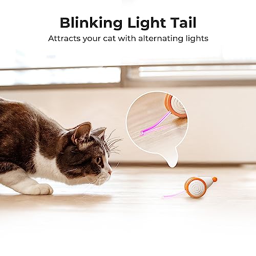 Interactive Cat Toys for Indoor Cats (Yellow)