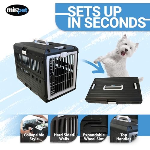 Collapsible Pet Carrier for Large Dogs & Cats (Large - Gray / without kit)