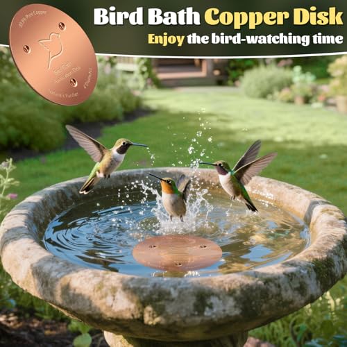 1 Pack Bird Bath Copper Disk (Copper/1PCS)