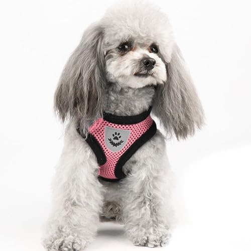 Pink Cat Harness and Leash Set (pink / M：(Neck:11.81" chest:14.56"-18.50"))