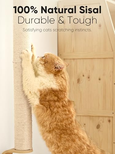 Cat Wall Scratcher (60 inch)
