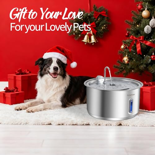 Dog Water Fountain