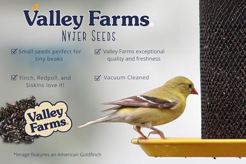 Nyjer Seed Wild Bird Food (15 Pound (Pack of 1))