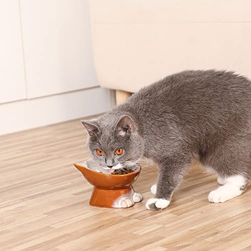 Elevated Cat Bowls (4.5 OZ / Brown)