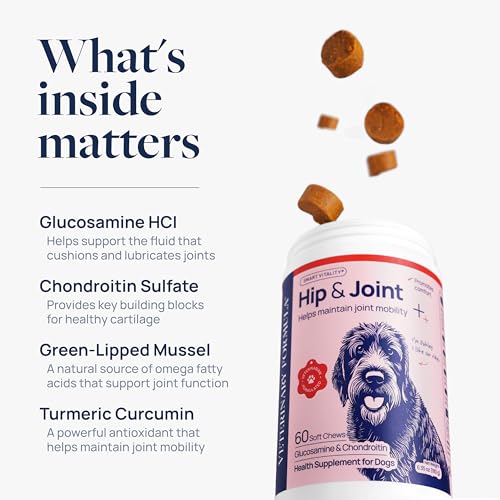 Smart Vitality Hip & Joint Supplement (60 ct / Hip & Joint)