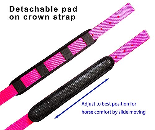 Adjustable Horse Halters by Heavy Duty Soft Nylon (Pink / XXS Pony)