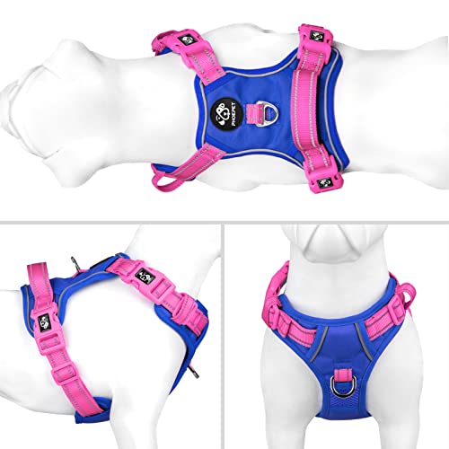 No Pull Dog Harness (Royal Blue Base & Pink Straps / Medium)