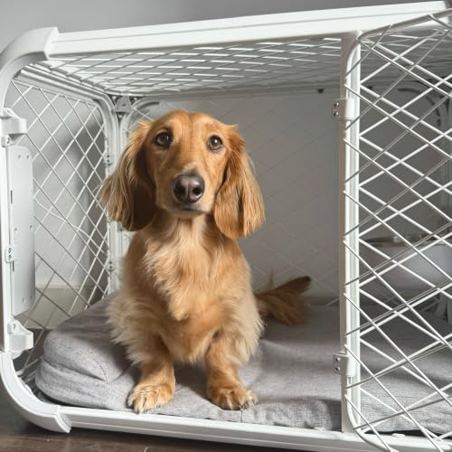 Evolv Modular Dog Crate for Dogs Up to 16" Tall (Small (25.9"L x 19.4"W x 20"H) / Ash)