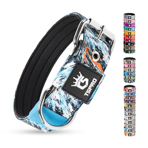 Heavy Duty Thick Dog Collar with Metal Buckle for Large Dogs (L – Fits Neck 18.9"-21.7" / Edgy Graffiti Print)