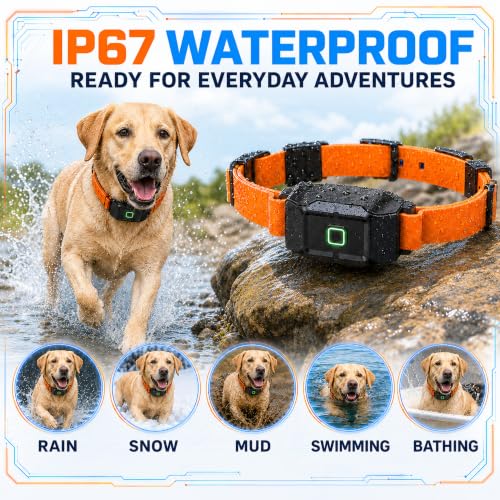 GPS Wireless Dog Fence System with Free App (Orange)